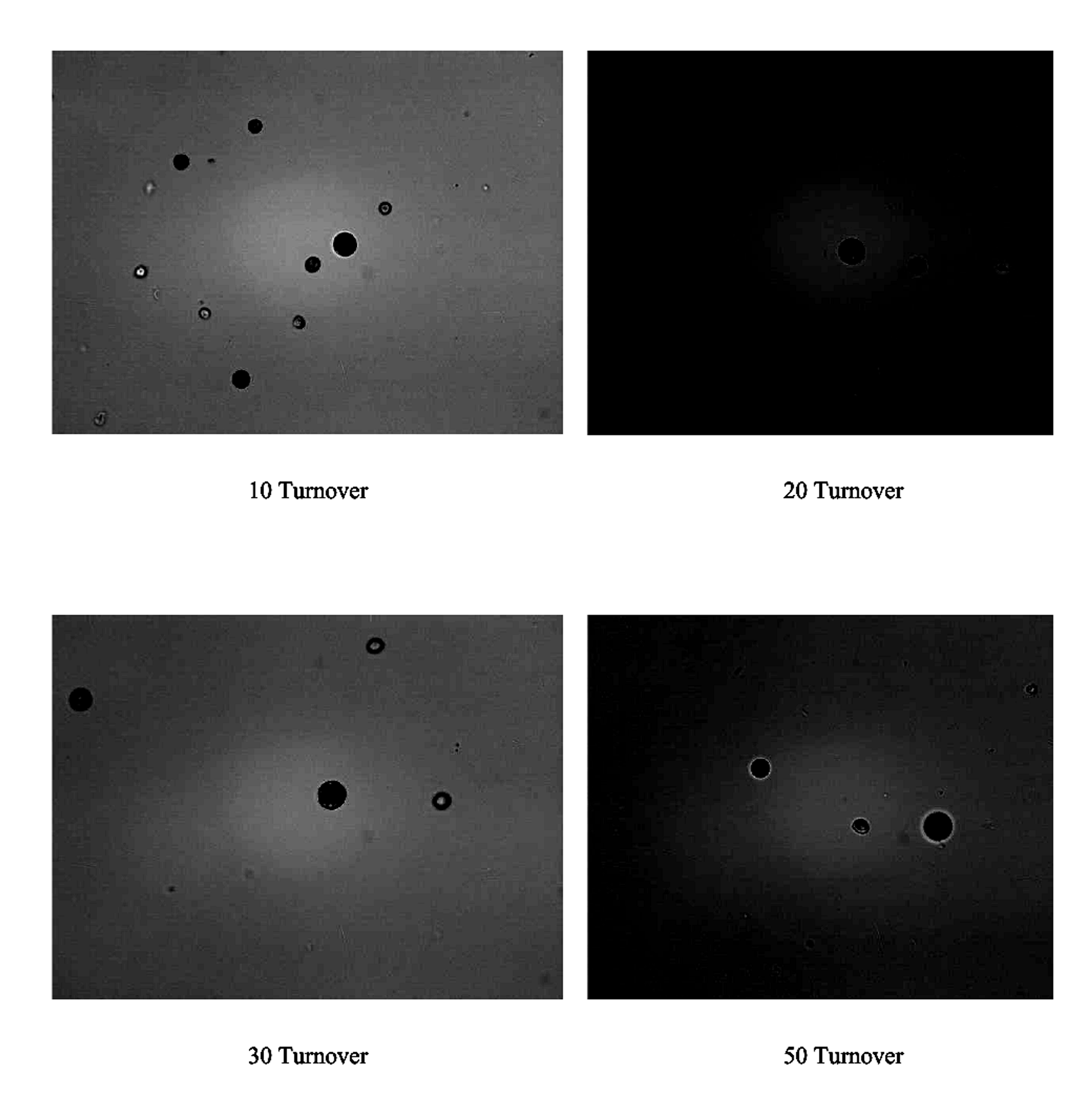 Figure 7.3. Bright field images after 10, 20, 30, and 50 flow turnovers. The study did not establish effective lysis in the tested window