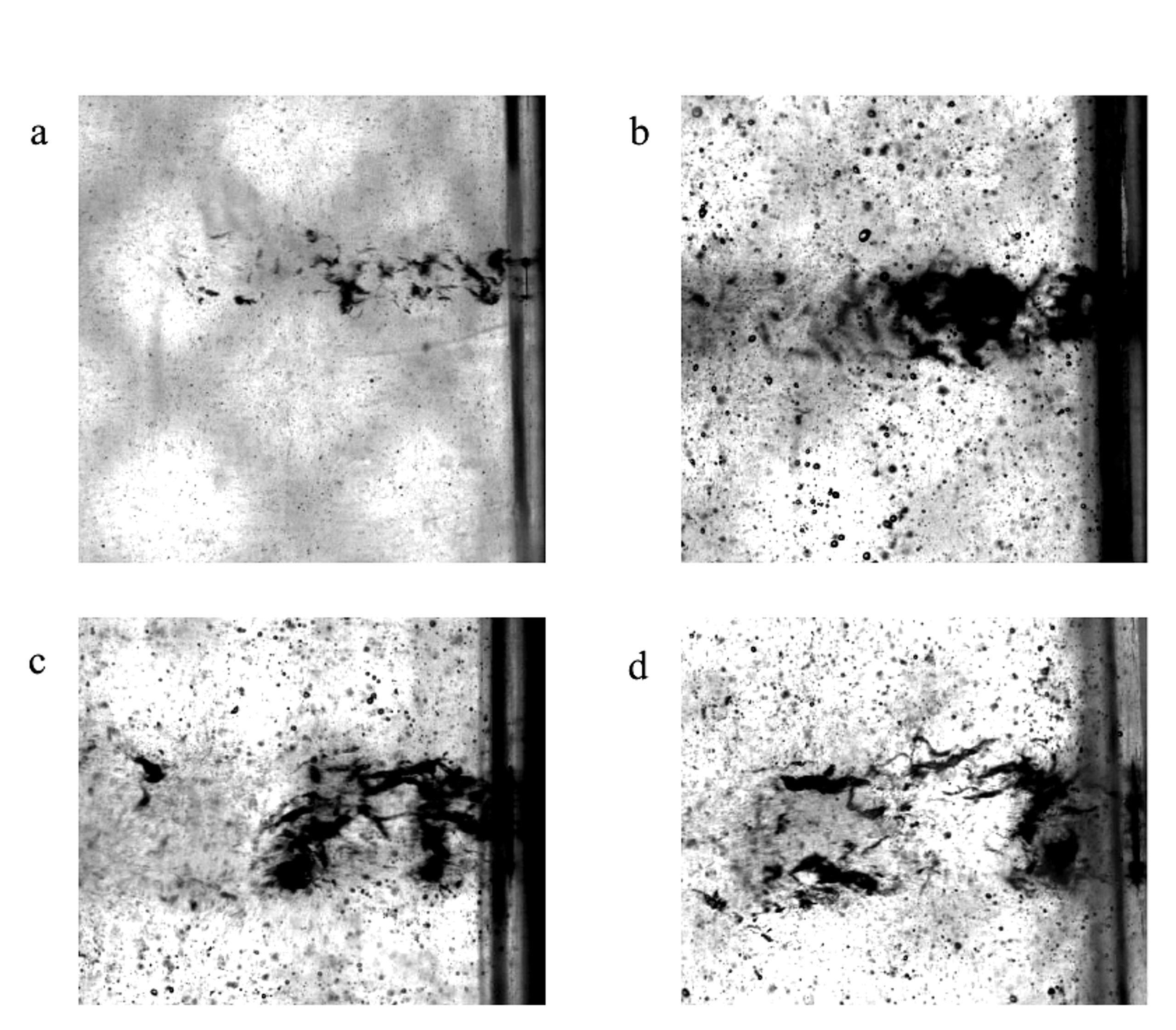 Figure 7.2. High speed views of cavitation structures produced by different orifice diameters in the microalgae test loop