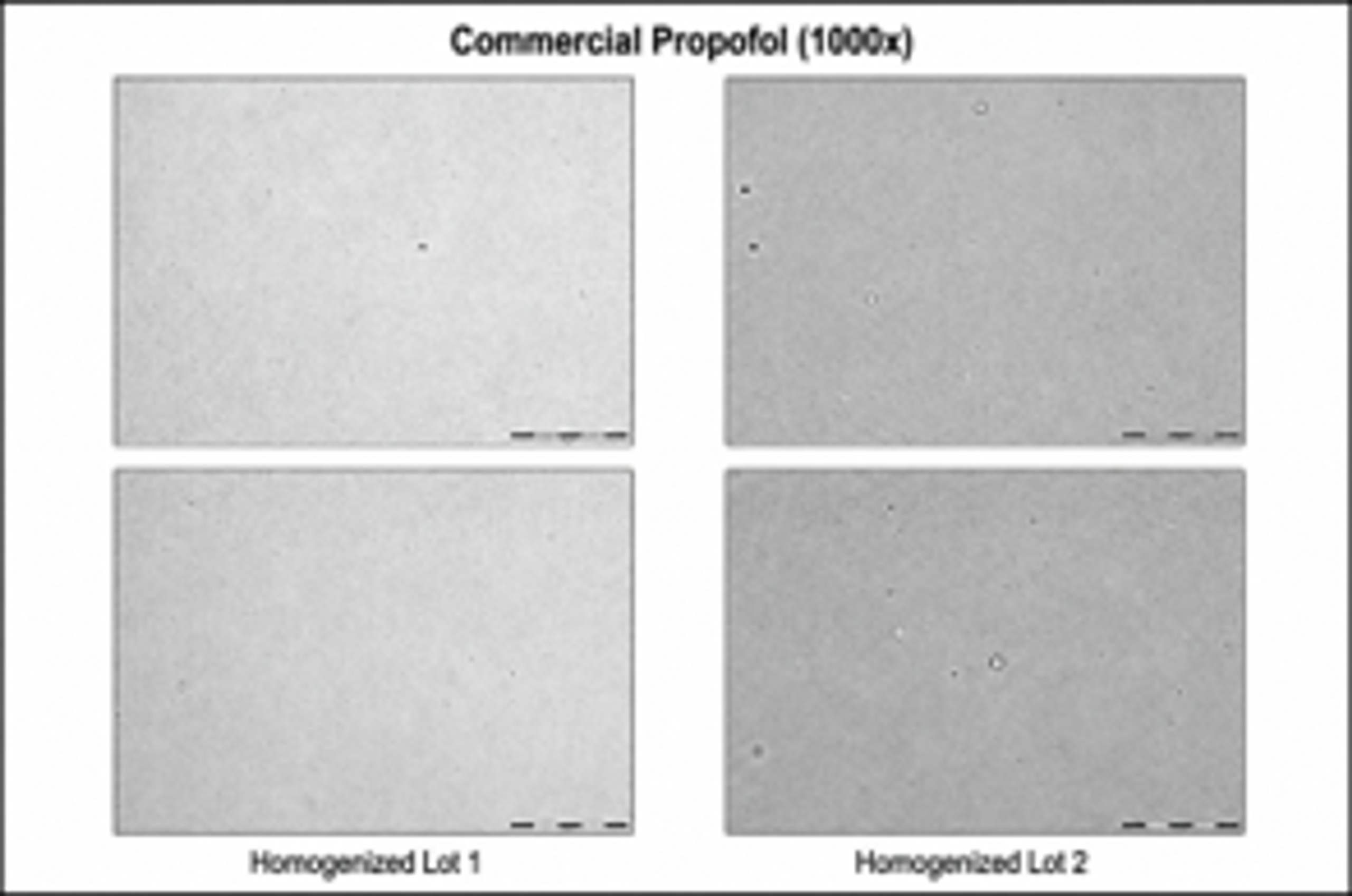Figure 4.13. Micrographs of commercial propofol high pressure gap homogenizer lots 1 and 2