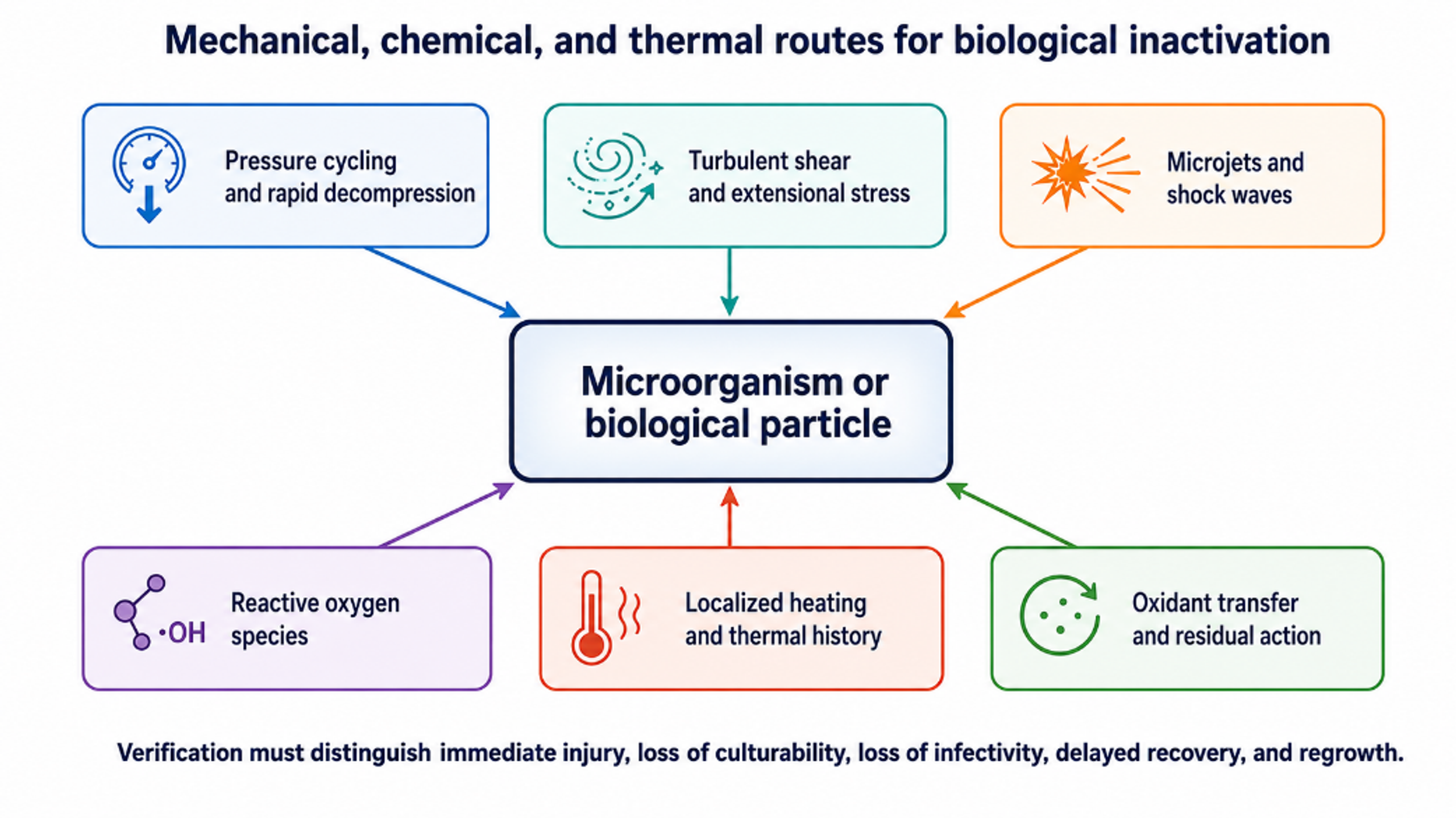 Figure 6.1. Mechanical, chemical, and thermal pathways that contribute to microbial inactivation by hydrodynamic cavitation