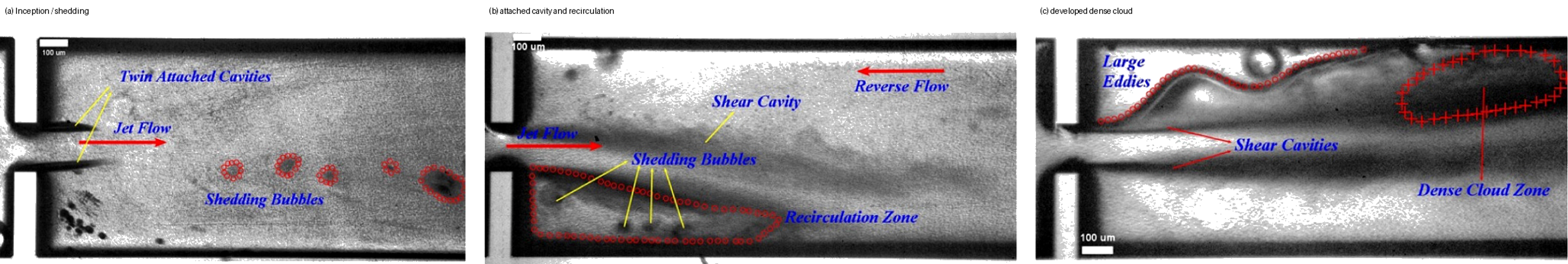 Figure 10.2. Observed cavitation structures and flow regimes in micro orifice and long diaphragm devices. (15)