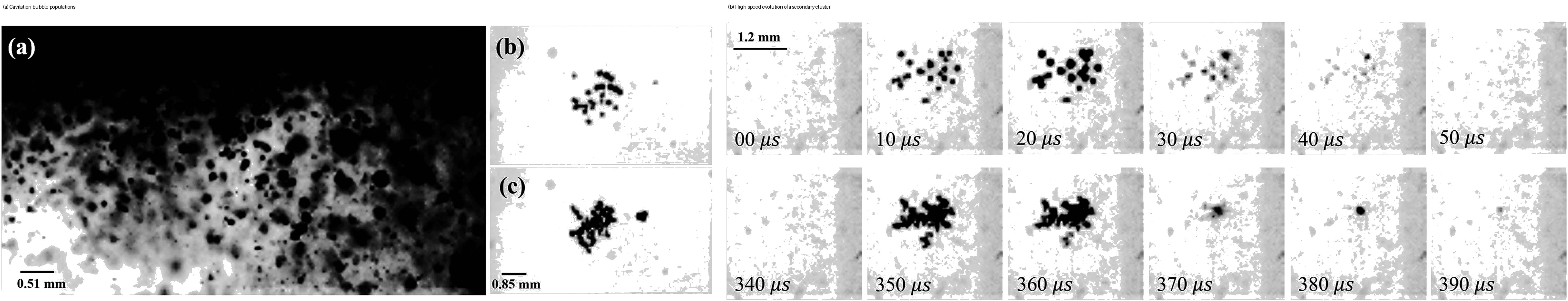 Figure 4.2. Representative high speed images of cavitation bubble clusters generated by focused shock waves at different operating conditions. (37)