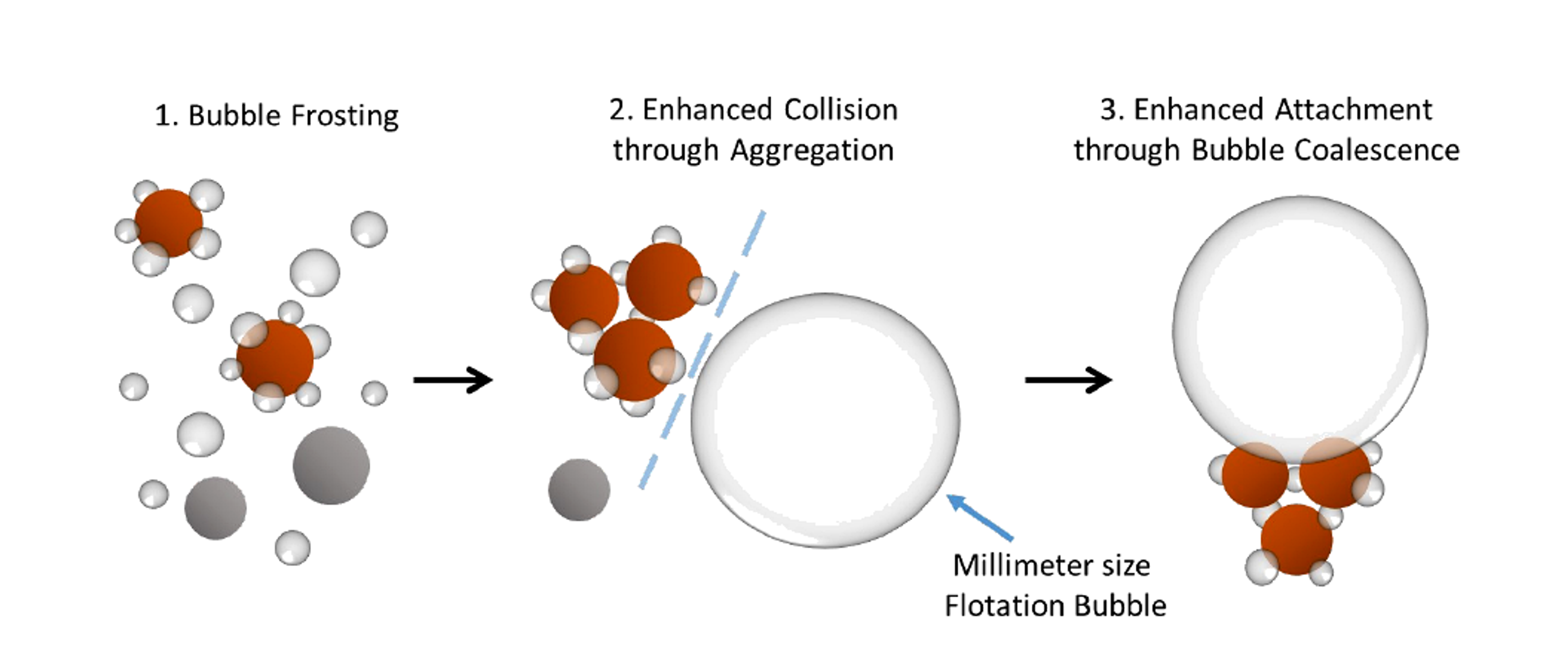 Figure 5.4. Mechanism proposed for hydrodynamic cavitation enhanced fine particle flotation: bubble frosting, aggregation, and microbubble assisted attachment