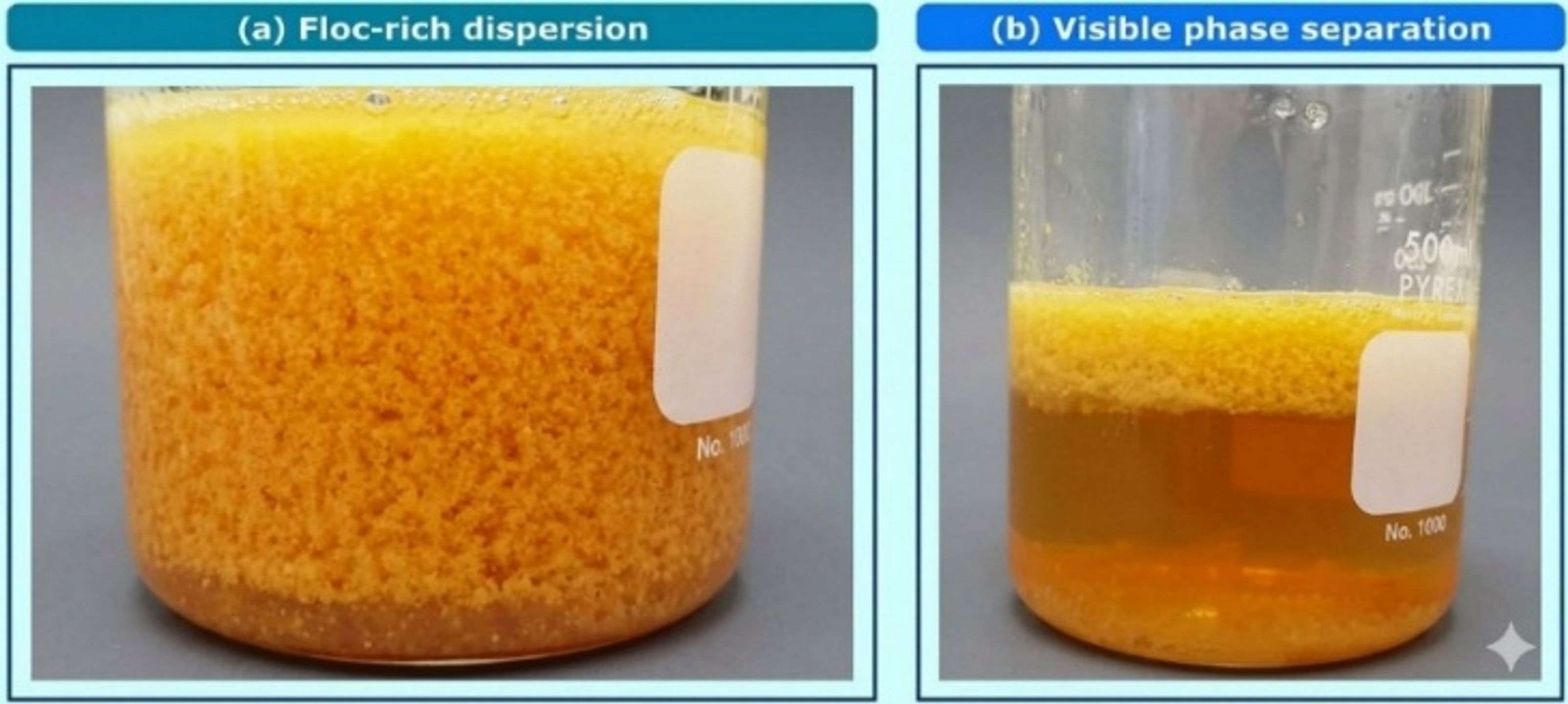 Figure 5.8. Floc rich dispersion and visible phase separation after treatment. (19,21)